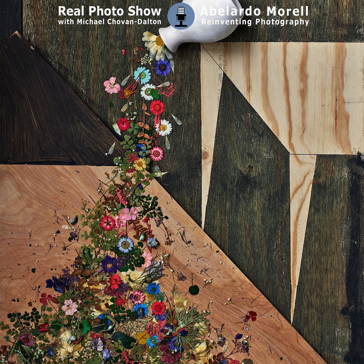 Abelardo Morell | Reinventing Photography

Abelardo Morell joins me to talk about his storied career and incredible passion for photography and art history. We talk about Flowers for Lisa, published by Abrams Books and Tent-Camera, published by Nazraeli... realphotoshow.com/abelardo-morel…