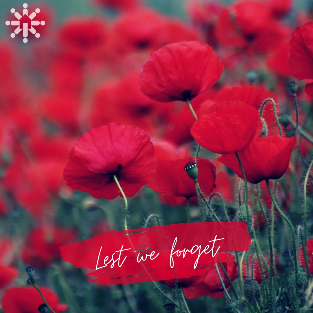 Inn from the Cold tweet media