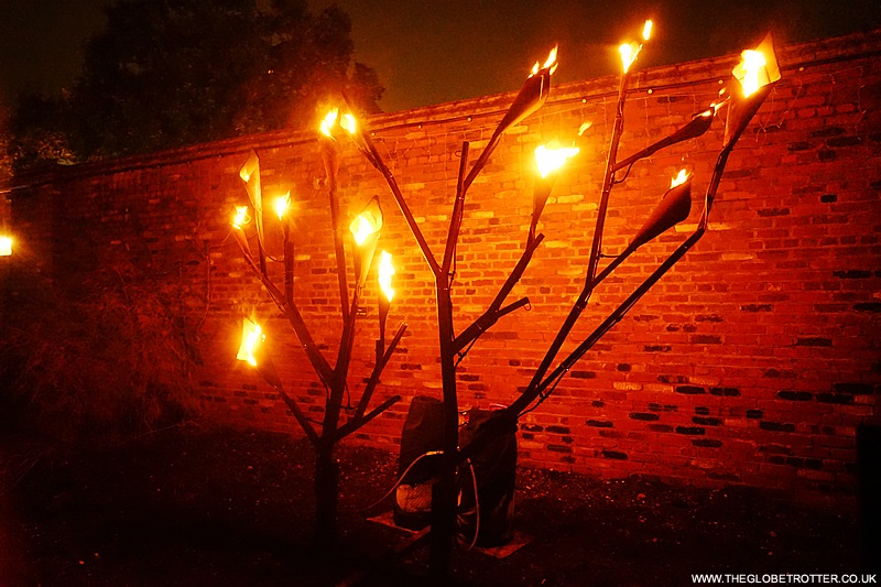 Deeptha @The Globetrotter tweet media