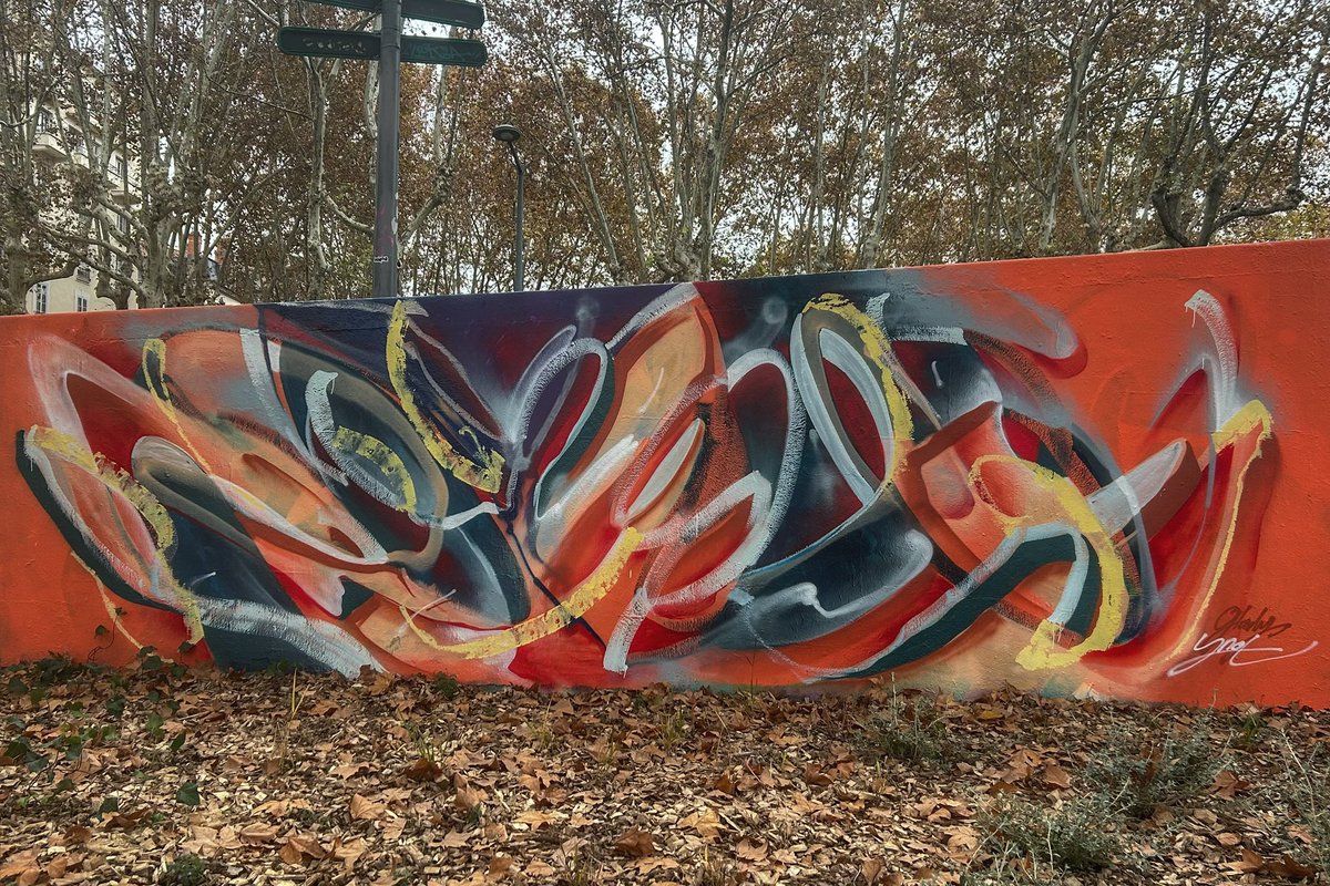 HunterStreetart's tweet image. [#streetartlyon / 📸 NOVEMBRE 2024] Artwork « abscrash day ! » by YNOT, découvert vers le skatepark du 6eme à #lyon !
#ynot #abstractart #graffiti #streetart #urbanart