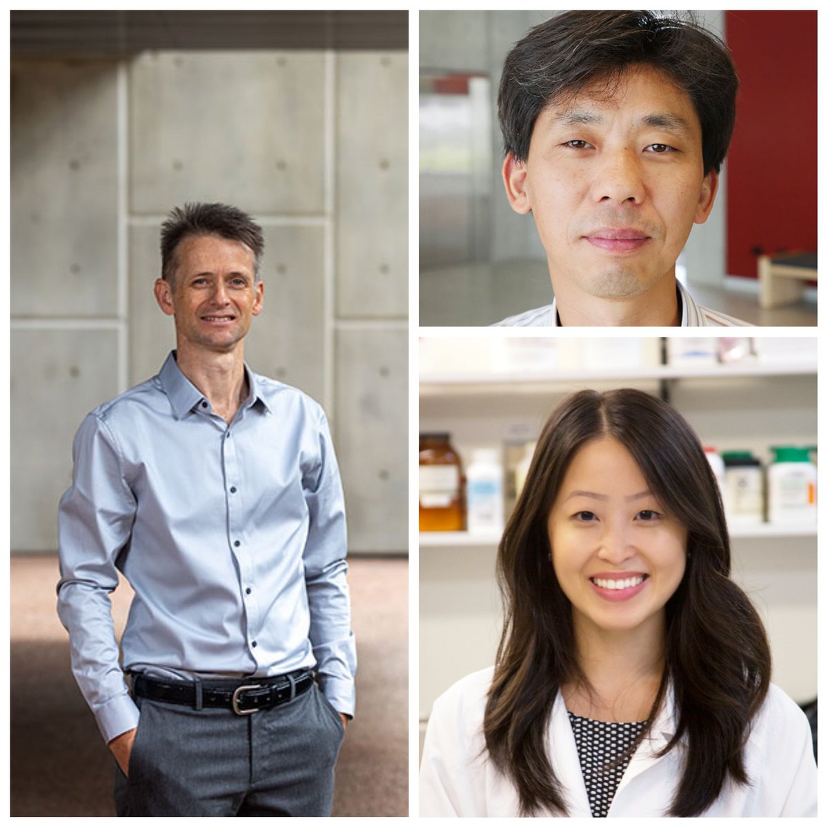 PrecisionMedUON's tweet photo. 🎉🎉 Congratulations to three of our @PrecisionMedUON researchers (Prof @MurrayCairns, Prof Jiabao Yi &amp; A/Prof @DrSusanHua) recently announced in the World’s Top 2% Scientists, a list compiled by Stanford University and Elsevier https://t.co/XfpSJ9qxbY https://t.co/DUmaiJCq4s