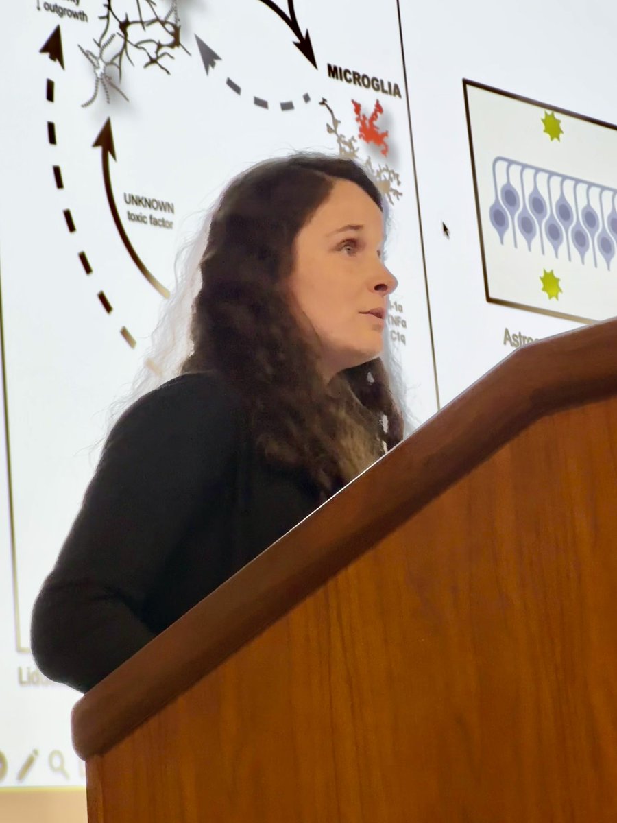IUSM Neuroscience Stem Cell Research Group (@iustemcell) on Twitter photo Now speaking at the #IUStemCell Research Symposium is <a href="/catiasvgomes/">CƔtia Gomes</a> presenting her work on astrocyte reactivity and the role of complement pathway Now speaking at the #IUStemCell Research Symposium is <a href="/catiasvgomes/">CƔtia Gomes</a> presenting her work on astrocyte reactivity and the role of complement pathway