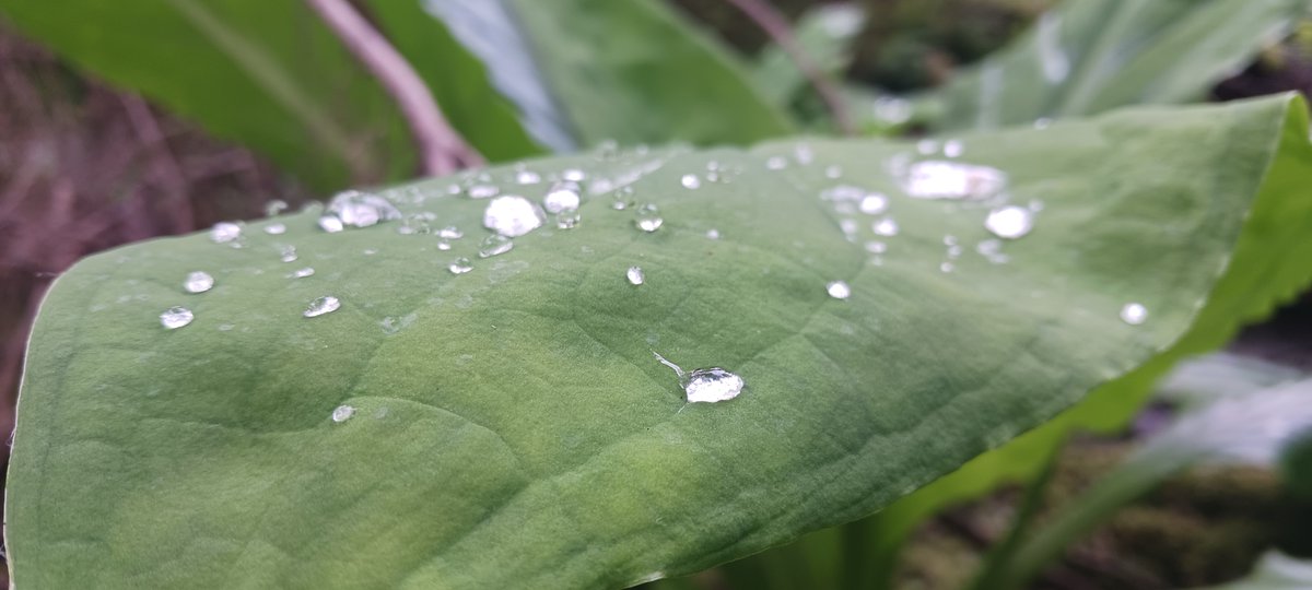 actorATTILA's tweet image. i do more than act...