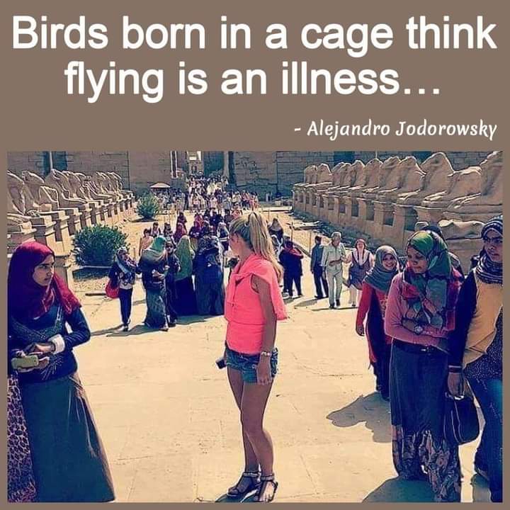 #FreeGirlOfScienceResearch
#FreeLifeOfWomen
#AhooDaryaei #AhouDaryae #WomenLifeFreedom