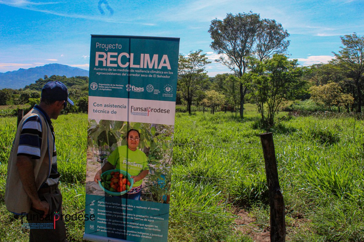 funsalprodese's tweet photo. 🌱 En Concepción de Oriente, productores de La Unión compartieron sus experiencias en prácticas sostenibles con RECLIMA: SAF, banco forrajero y manejo de suelos. 🌳🌾 Este intercambio impulsa una agricultura resiliente. #RECLIMA #FondoVerdeParaElClima https://t.co/l3veRh6VuM