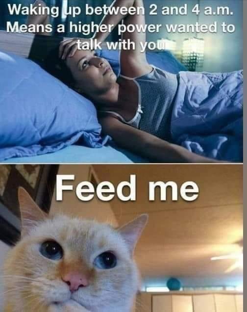 Me every night…