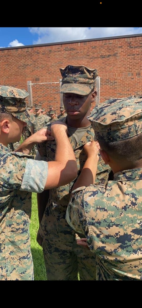 The Last Unicorn tweet media