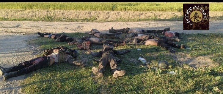 AboriginalKuki's tweet photo. Manipur : 𝐀𝐫𝐞 𝐭𝐡𝐞 𝐒𝐞𝐜𝐮𝐫𝐢𝐭𝐲 𝐟𝐨𝐫𝐜𝐞𝐬 𝐝𝐨𝐢𝐧𝐠 𝐭𝐡𝐞𝐢𝐫 𝐣𝐨𝐛?

1.Pi Zosangkim was brutally tortured and burnt to death at her residence when armed Meitei militants attacked Zairawn Village, Jiribam, torching around 16 houses. Where was the CRPF then? Aren’t they posted in a conflict zone to maintain peace between two warring communities?

2. An outrageous claim has been made by several media houses that 11 Kuki militants were neutralized. In a conflict-torn state where the security forces are unreliable to protect your own kin and kind, young men have been armed to safeguard their territory. Are they militants?

 3. If there was any sort of counter-insurgency operation carried out by the CRPF, why wasn’t it directed at the perpetrators of the November 7 incident, where the entire village of Zairawn was burnt, but rather at Kuki volunteers heading out to protect their defenseless families?

4. The CRPF is bound by strict regulations for any operation to be conducted, and this is an evident case of extrajudicial killing. If so, who gave such orders?

5. Earlier, Robin Mangang (PRO of Arambai Tenggol) congratulated the newly appointed OC of Jiribam, S. Ibotombi Sagapam Meitei, naming him a ‘personal friend’ with whom he’d closely worked. 

Was the CRPF pressured by the Manipur police (Meitei police) headed by N. Biren Singh?

Eividently,there is no chance for peace in Manipur as the central security forces themselves do not work for its prevalence.
#CRPFWarOnCivilians
#CRPFMeiteiCollusionExposed
#JiribamMassacre