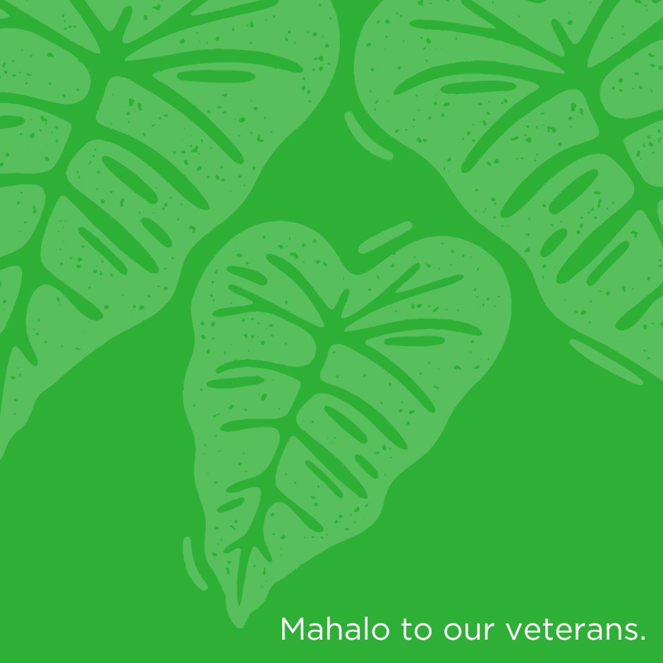 HIDentalService's tweet photo. This Veterans Day, all of us at Hawaii Dental Service proudly honor the brave individuals who protect our freedom and safety. 

Mahalo for your service!

#VeteransDay #HonorOurHeroes #ThankYouVeterans https://t.co/GiDHnUggP0