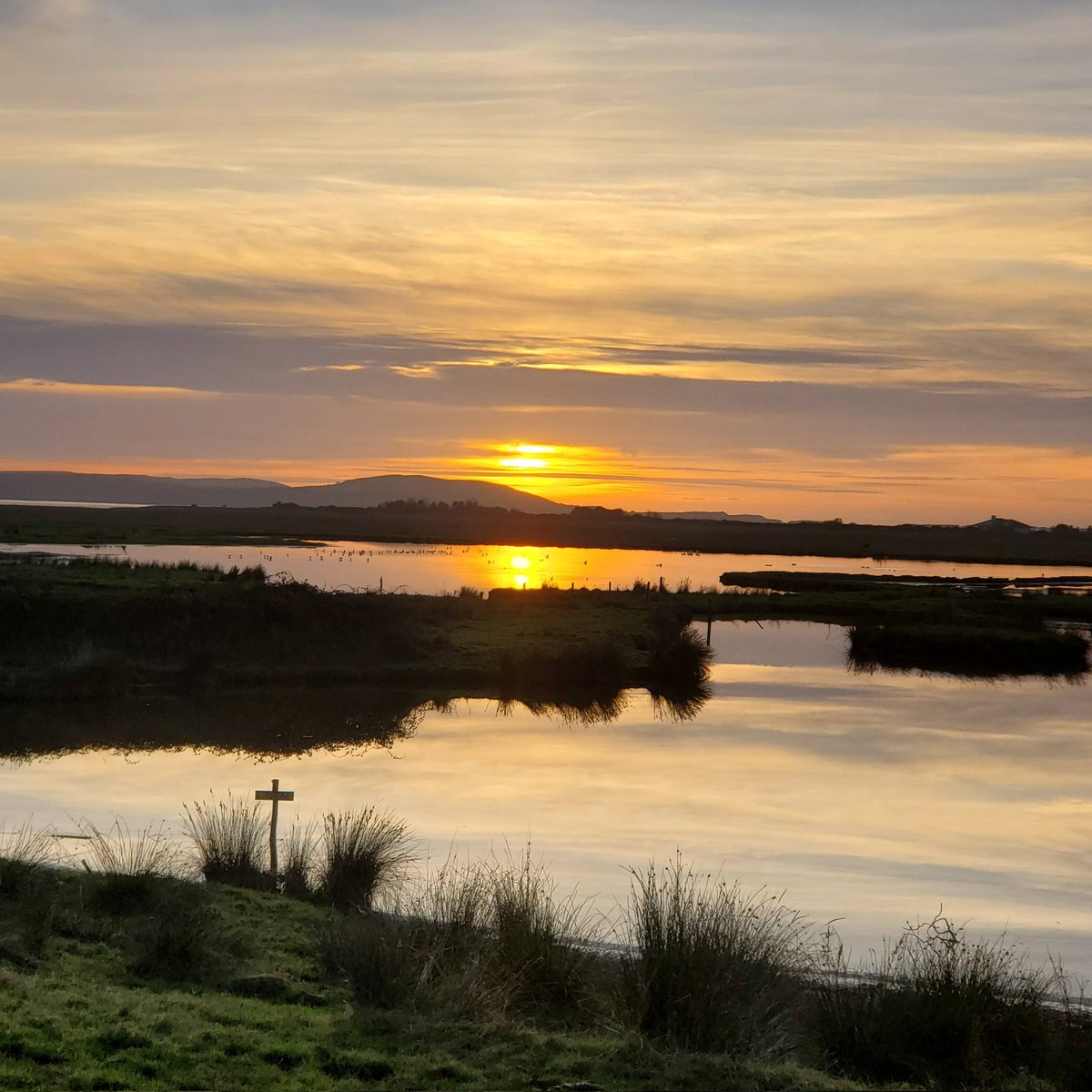 Elaine Wright tweet media