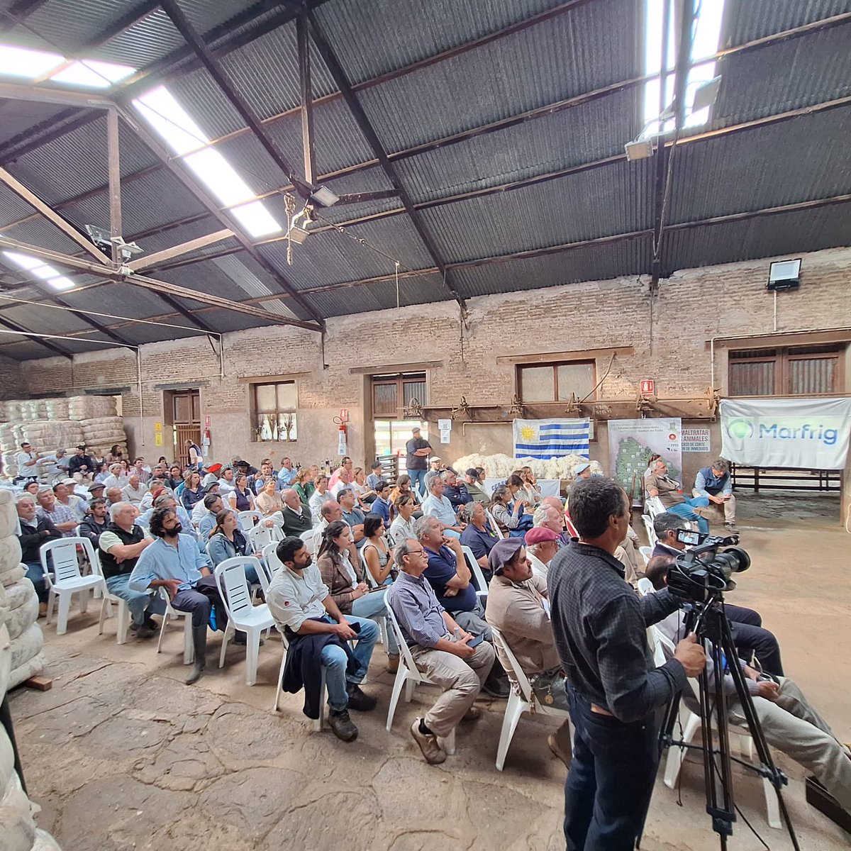 #Ahora Actividad de salón
✔️ Presentación de los principales resultados del proyecto #GestiónDelPasto📌Establecimiento <a href="/BomberoDel/">CerroDelBombero</a> en Merinos, Paysandú

📽️Mirá la transmisión en vivo 
aquí: ▶️ youtu.be/0zPSSyh-cOo
