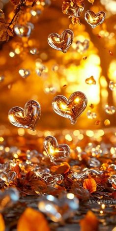 We need more LOVE in the world💛🧡🩷💙<a href="/Rach3lFranke/">🧚🏼‍♀️💙☮️ Rachel ☮️💙🧚🏼‍♀️</a> <a href="/FaveRit2/">💙🌻 Patti Cakes 🌻💙</a> <a href="/faust_gail/">Gail Faust</a> <a href="/FosterTruenorth/">Dennis Foster</a> <a href="/Carol_Cook78/">Colorado Gal</a> <a href="/tomsrk55/">Tom Klausen</a> <a href="/SacredEmbers4/">Sacred Embers</a> <a href="/TurlsA18/">Ms. T 📚📝🌊💙</a> <a href="/Mamacoopah/">Teresa Cooper 💟</a> <a href="/trich1174/">No Kings</a> <a href="/SuburbanComa/">Anna 🌊🌊🌊 💙🟧🌈</a> <a href="/SueDesai/">Sue desai</a> <a href="/SueVilla3/">Queen of Casavilla *representation matters*</a> <a href="/JackMic11633310/">Jack Michaels</a> @MN_Momzilla <a href="/davissturg/">Davis💙</a> <a href="/GaryMHargrove/">G-Mobile</a> <a href="/TaraWeiss_/">Tara 🦋 @taraweiss.bsky.social</a> <a href="/pat_ferndale/">Pat Slaughter</a>