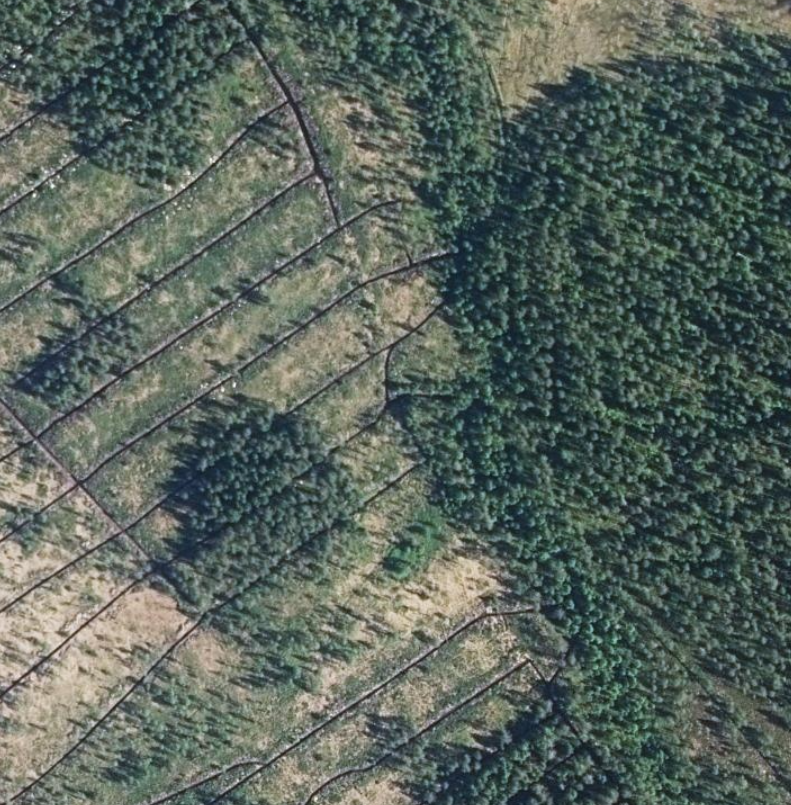 Oli jäänyt kuvapari pois, josta näkee miten ojat on kaivettu suoraan luonnonpuroon.

Ennallistamisen jälkeen ja uudis