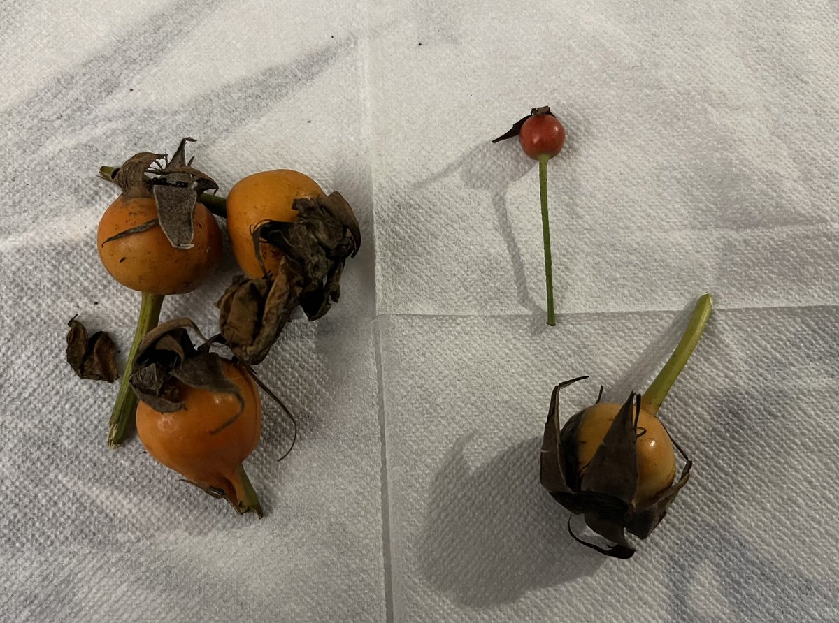 💪Inma D 💚 tweet media