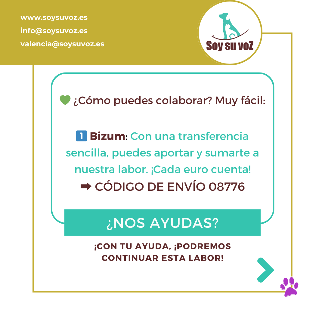 soysuvozyecla tweet media