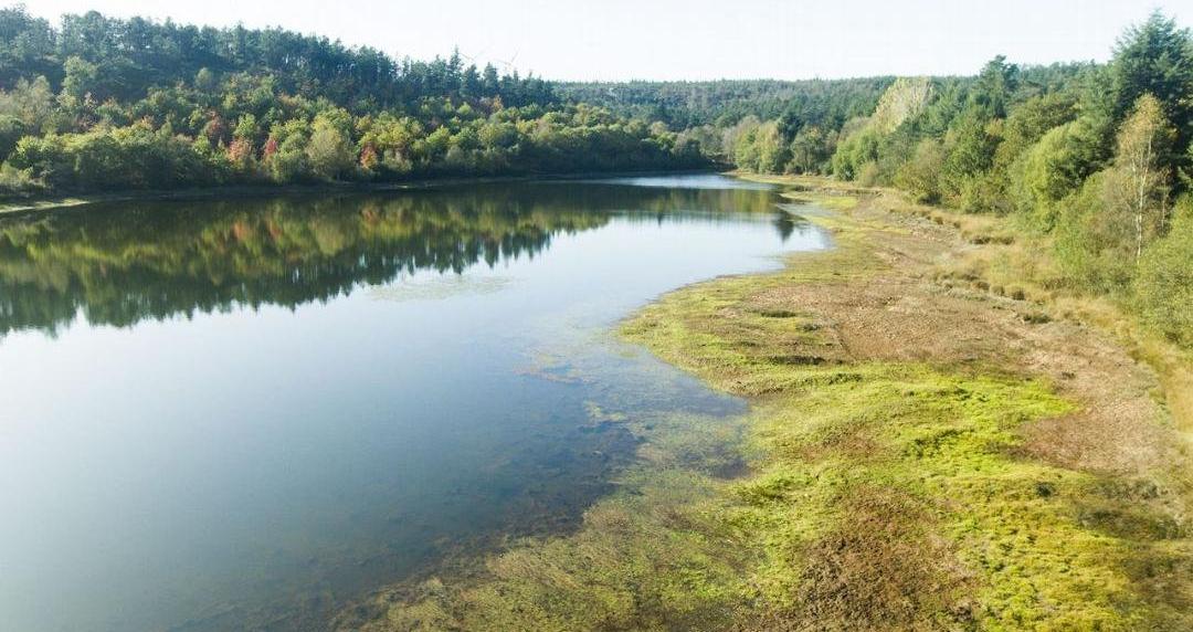 SabiasGalicia's tweet photo. Sabías que a Terra Chá é a comarca máis extensa de #Galicia con 1822,75 km². A paisaxe desta chaira combina frecuentes outeiros (coroados por castros), lagoas e máis dun cento de ríos e regatos que percorren a comarca. #Galiza #TerraCha #BoaNoite https://t.co/CkiRiQ6PMB