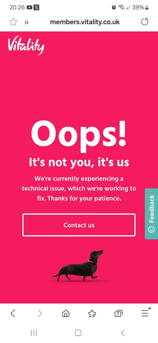 Rachel O'Pray tweet media