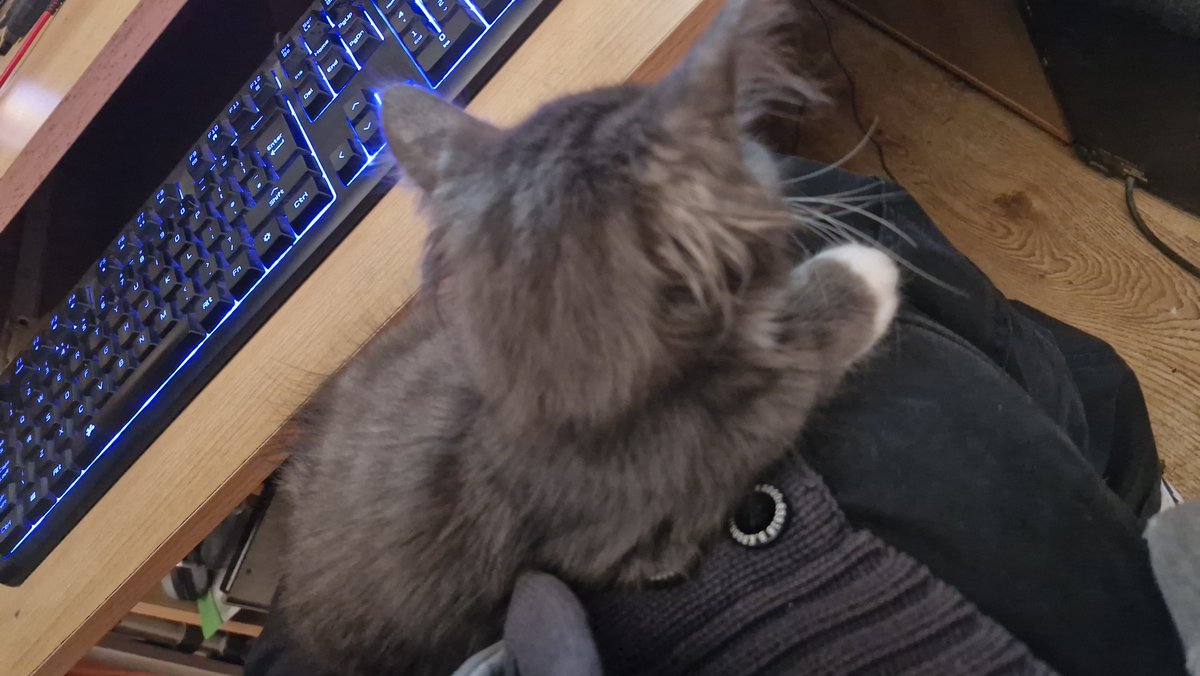 Dev with Dave tweet media