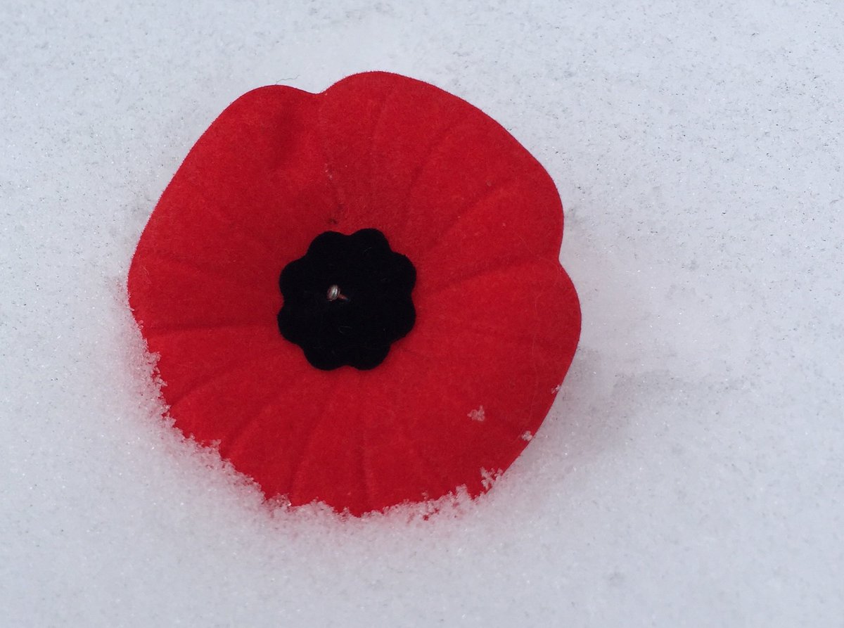 When we think of the World Wars, our minds rarely turn to the weather. But for 648 of the 1,566 days of the First World War, rain and snow compounded the misery. Trench foot, a medical condition caused by the cold and moisture, took upwards of 75,000 lives. 🧵