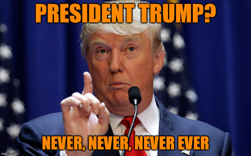 Damaan4u33's tweet image. I will never, never, never, ever, say the words: "President Trump"! Who else agrees? 🙋‍♀️🙋🙋‍♂️