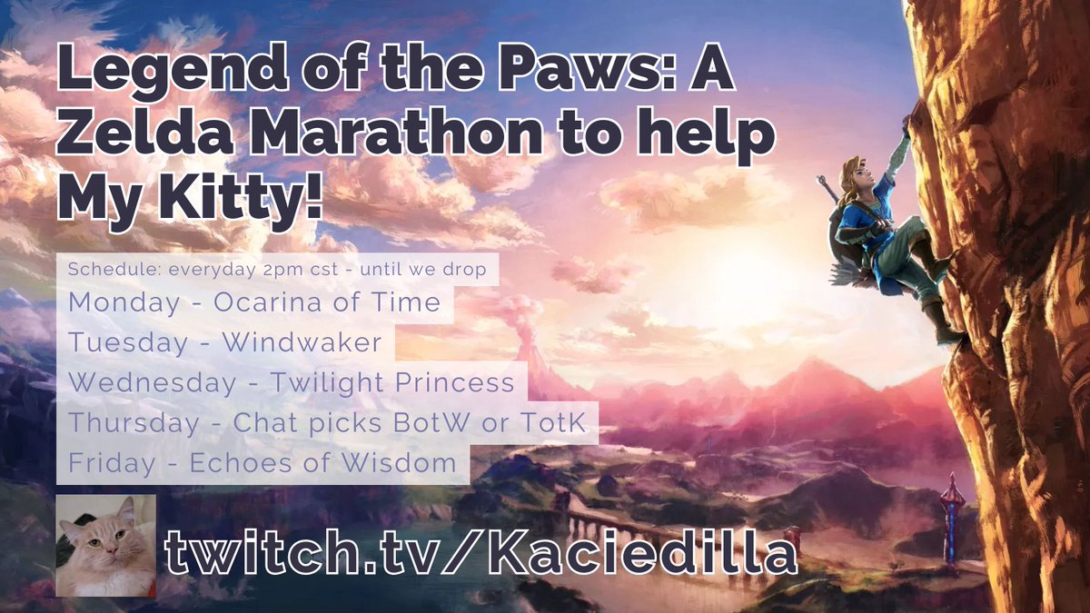 Kaciedilla_'s tweet photo. Hi all! A few weeks ago my cat started limping and we took him to the vet and found out he has genetic bone deteriorating disorder and needs an FHO surgery, before his hip/leg breaks. All week we will be raising money for his surgery &amp; playing the games he was named after 🐱🩷 https://t.co/F1bcajX1ir