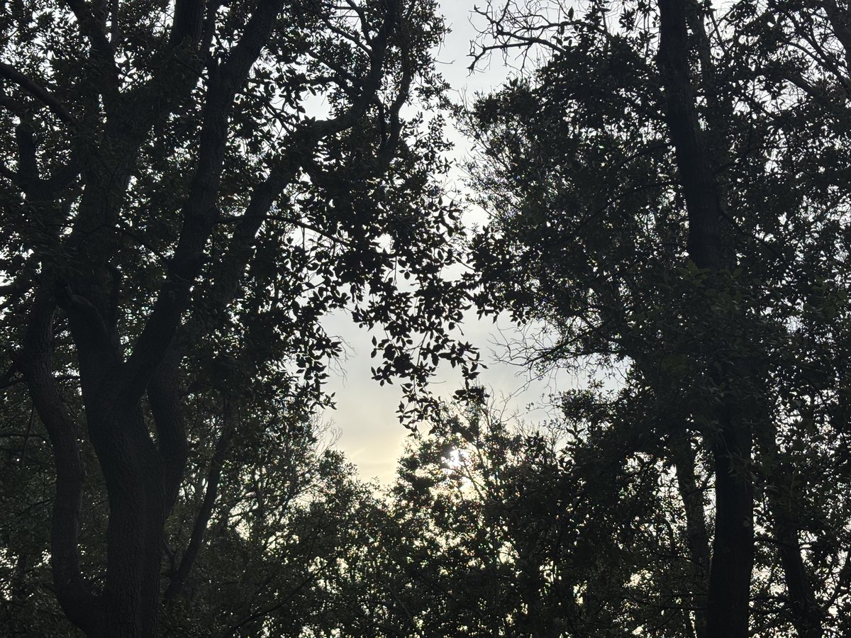 Arnaud Maïsetti tweet media