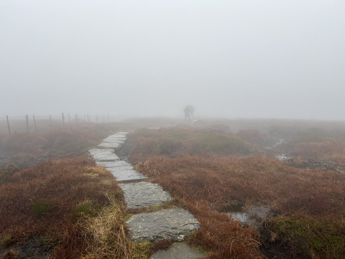 AndyRusseII's tweet image. big fat walk up into the clouds