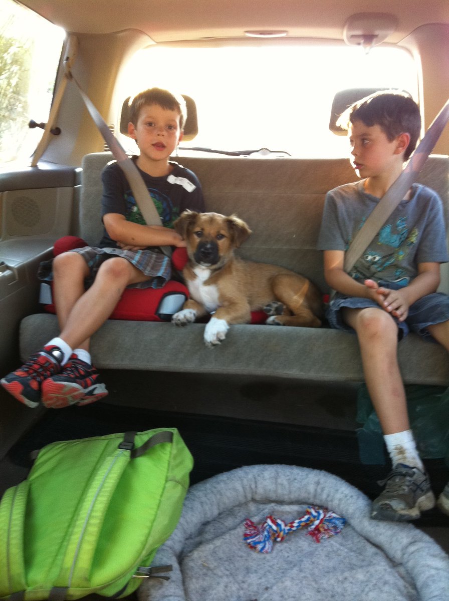 David Roberts tweet media