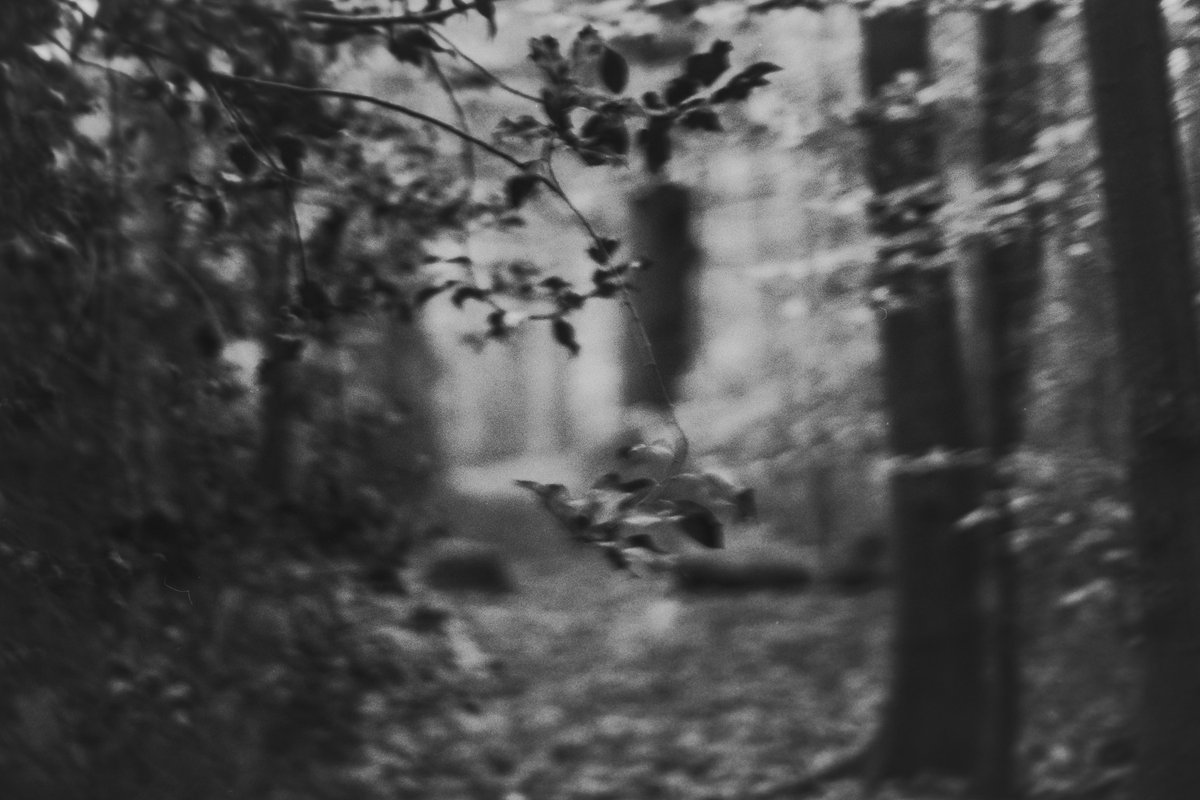 nomoth (@apevisions) on Twitter photo 