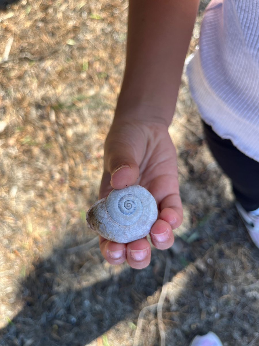 EscolaTanit's tweet photo. ✨Sentim la Tardor 🍂amb tots els sentits!! 👃🏿✋👅👂🏼👁️Els infants de 👭Petits i Mitjans 👫👬 visitem el recinte de Torribera 🌳🌲per observar🔎 els canvis a la natura https://t.co/IyeF5XybsW
