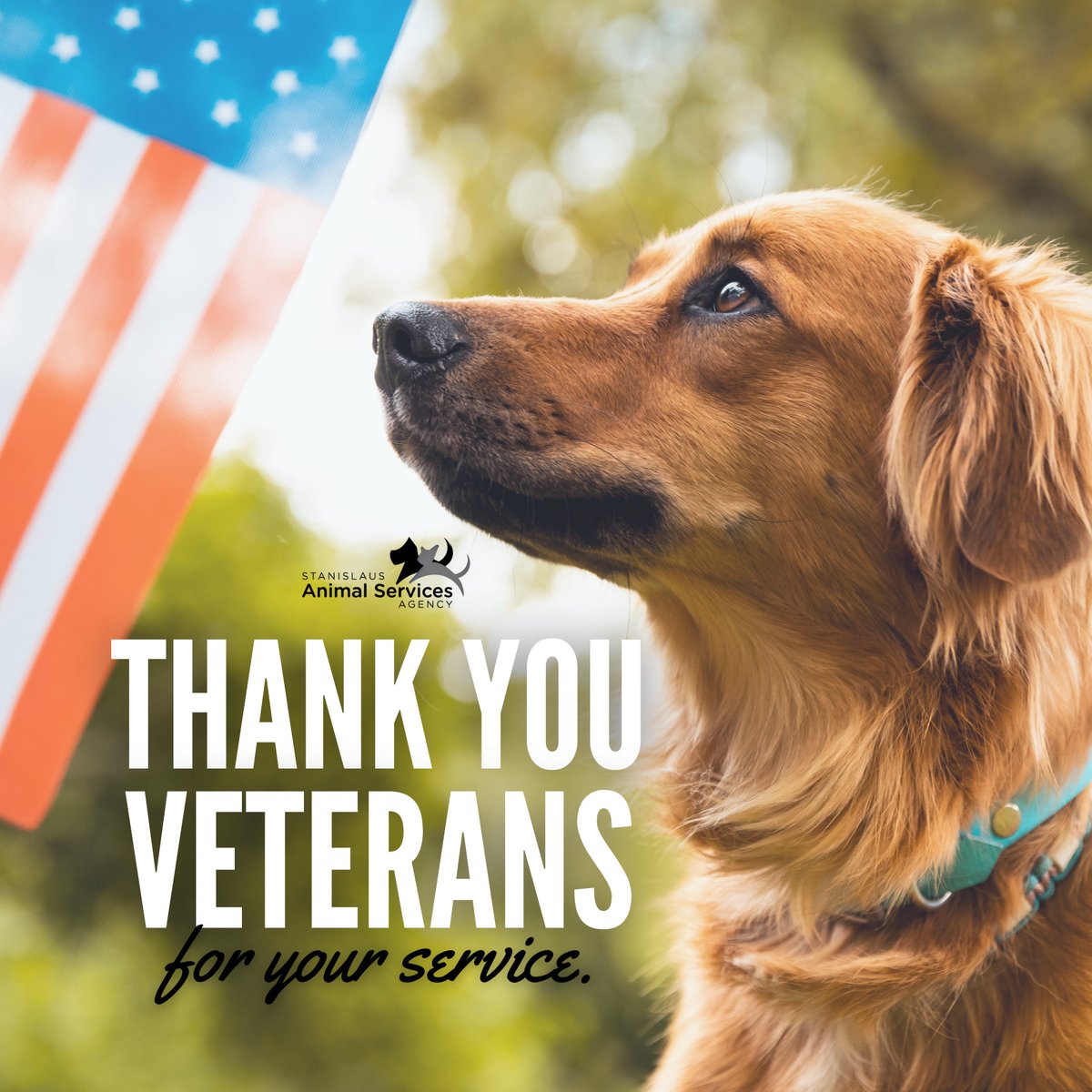 Stanislaus Animal Services Agency tweet media