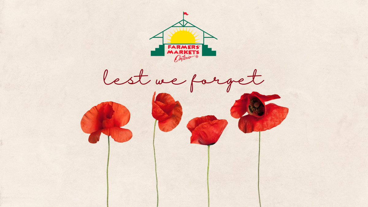 We remember. 🌹
#RemembranceDay2024