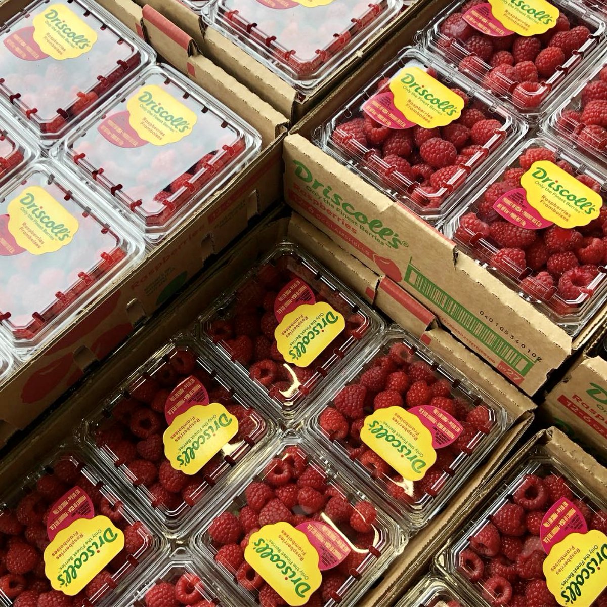 Our crystal ball is clear: sweet moments are surely ahead. 💖 #OnlyTheFinestBerries

📷: Elia's Produce