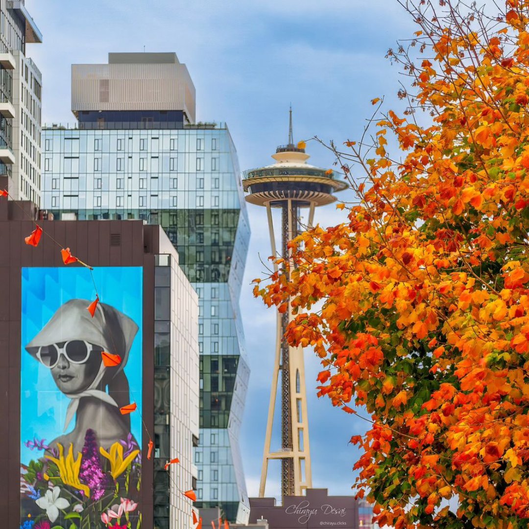 southlakeunion's tweet photo. Autumn leaves &amp; city breeze. 🍁

📸: chirayu.clicks on IG #SouthLakeUnion #FallForSLU #FallInSeattle https://t.co/mWWpZ232Sw