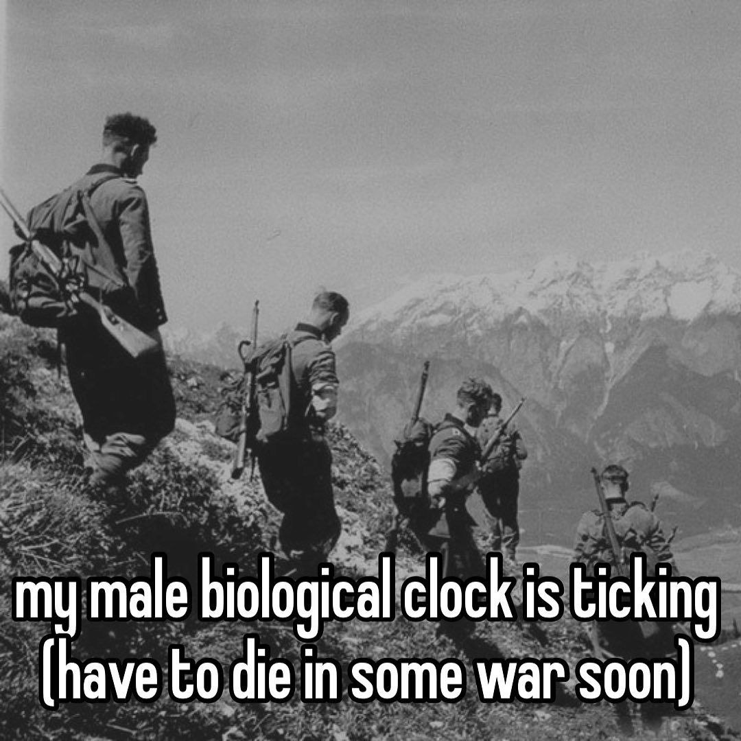 𝙉𝙞𝙛 (@stparabellum) on Twitter photo 