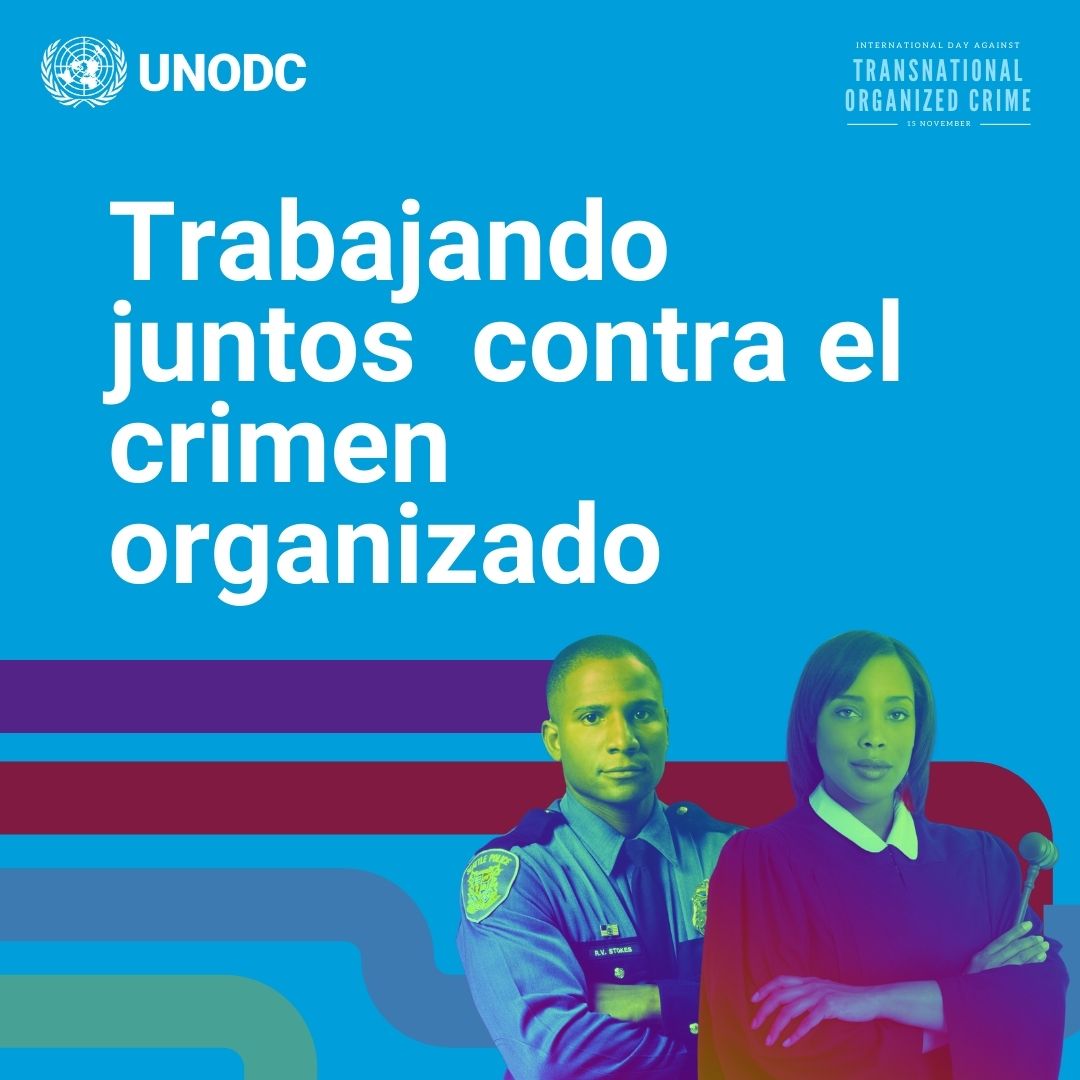 El crimen organizado no conoce fronteras. Roba, corrompe y mata, alterando vidas y modos de subsistencia.
El 15 de noviembre, súmate al primer Día Internacional contra el Crimen Organizado Transnacional. Pongamos un #AltoAlCrimenOrganizado
bit.ly/3I7iqKS