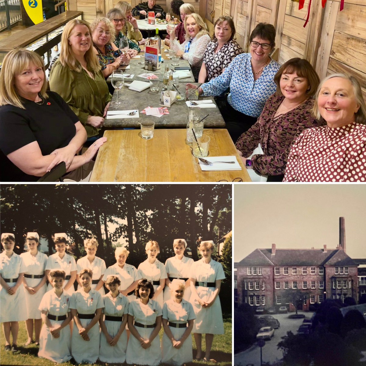 🌟Ruth Wyllie🦴 tweet media