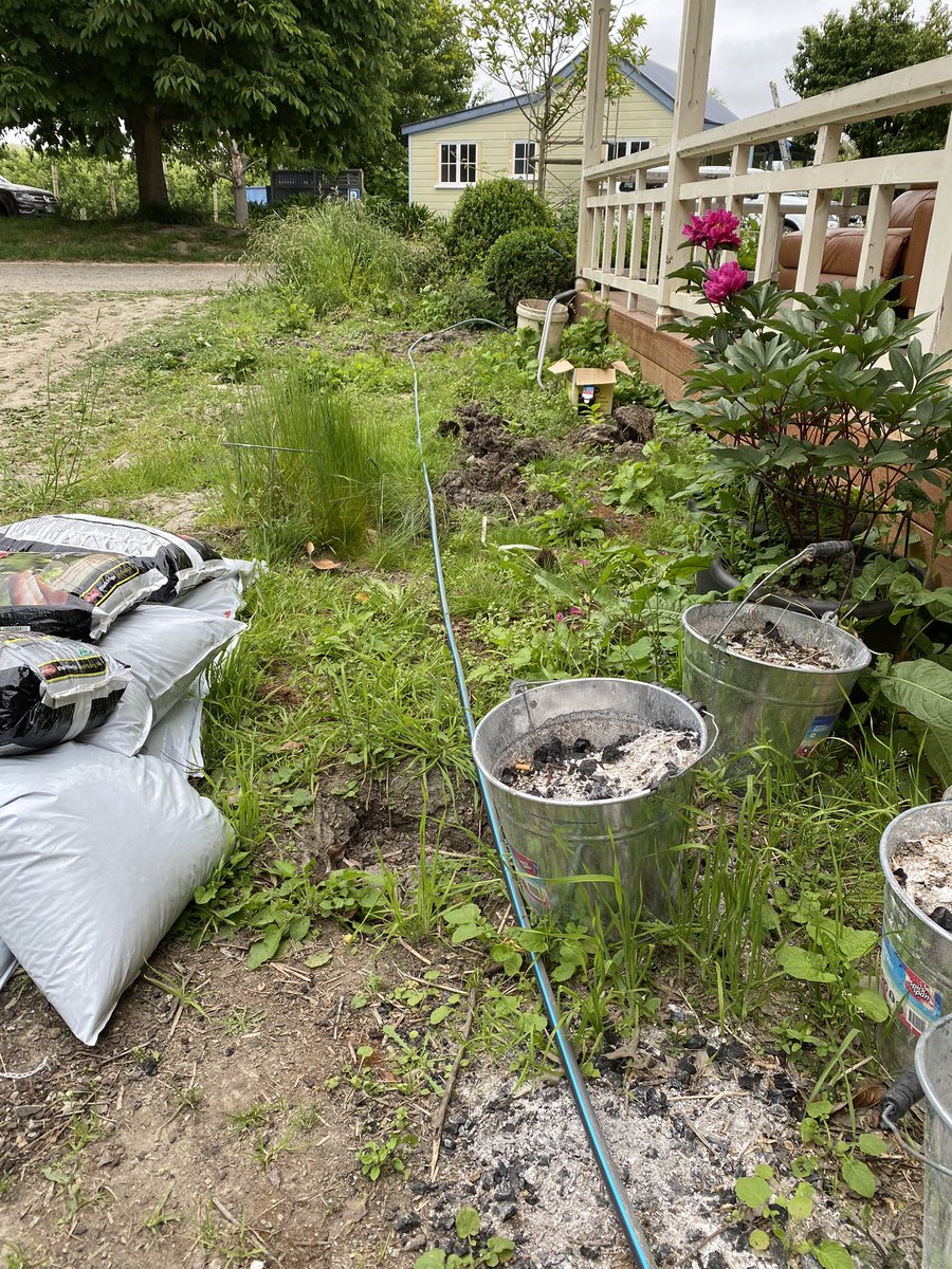Last garden to be done after the 🌀. This one is going to be turned into a wildflower garden for a couple of years, then who knows?Apart from the paths and parking area, this is the last untouched spot. The 2nd anniversary is going to be 😘  (yes I saved 2 paeonies) #reality