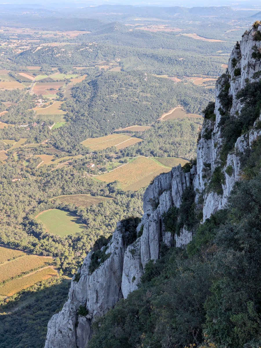 Pierre Casadebaig (@pircasa) on Twitter photo limestone and vineyards. algorithmic art by <a href="/jMarkusiewicz/">Jacek Markusiewicz</a> 🤝 a view from the pic Saint-Loup, France. limestone and vineyards. algorithmic art by <a href="/jMarkusiewicz/">Jacek Markusiewicz</a> 🤝 a view from the pic Saint-Loup, France.