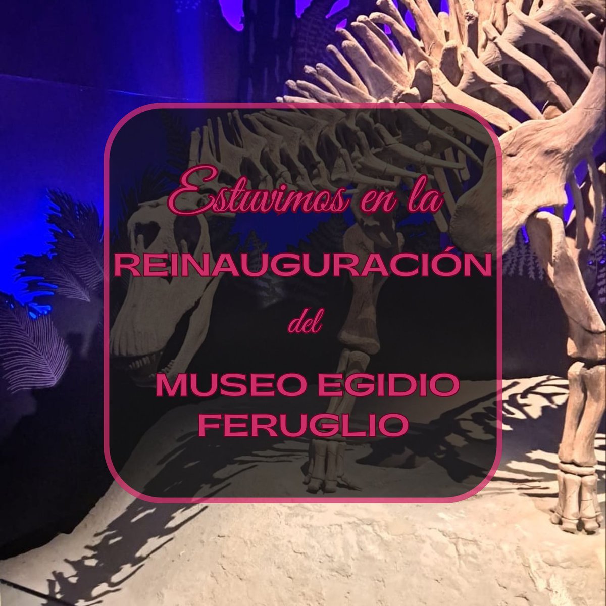 Asociación Paleontológica Argentina tweet media