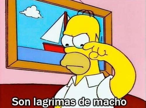 Gabriel Márquez (@gmarquezlopez_) on Twitter photo 