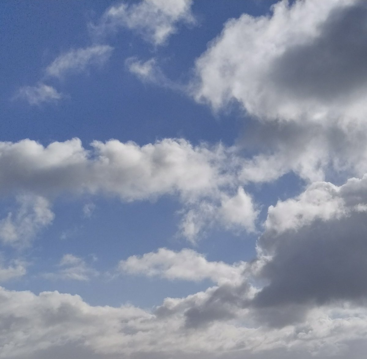 smartfoxlouisa's tweet photo. My #NNFN24 inspo today is Cloudspotting for Beginners from @PenguinUKBooks - distilling and explaining the magic of clouds.

I've been looking up, observing and wondering. 

Why don't you have a go too? 

@FCBGNews @Throughthebook2 https://t.co/FktO8KgMSZ