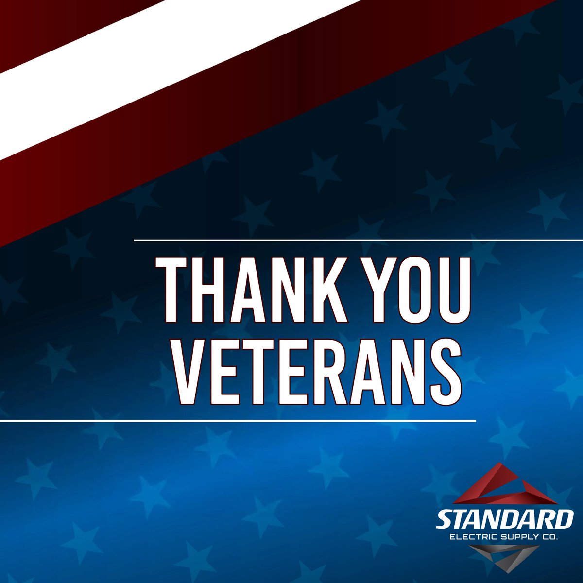 This Veterans Day, we pause to recognize the incredible service and dedication of all those who have served. 

#settingthestandard #veteransday