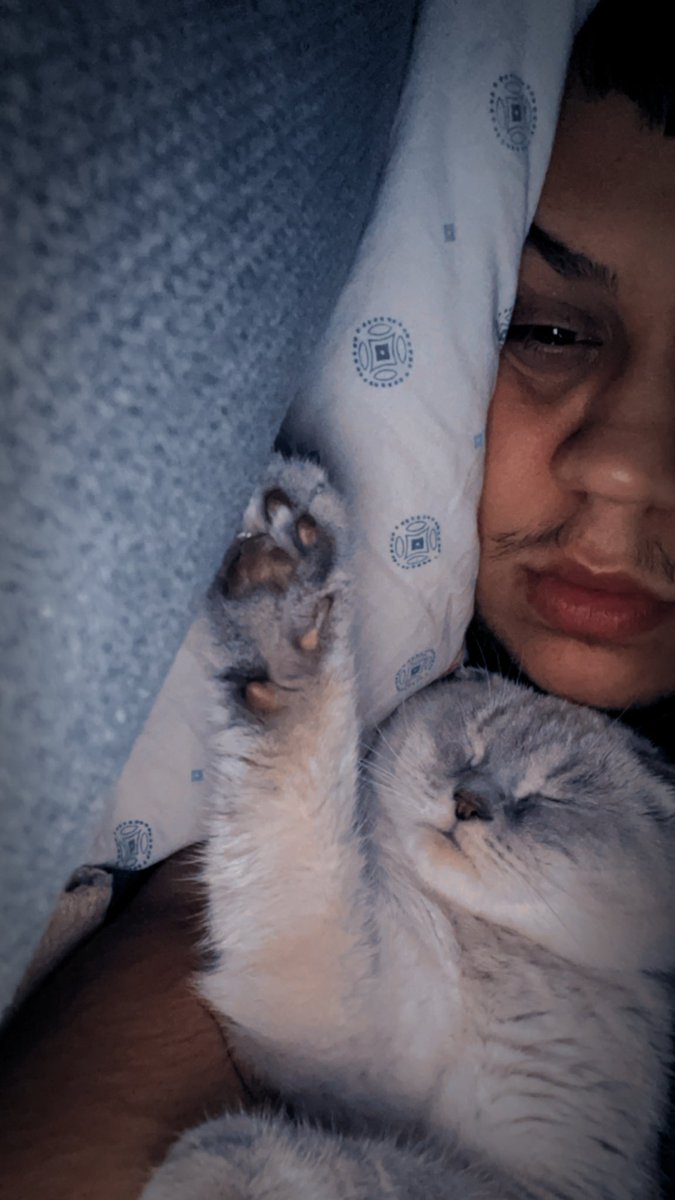 tuncoo94's tweet photo. Güzel kızım 
#scottishfold bp https://t.co/QXNDDXwKPI