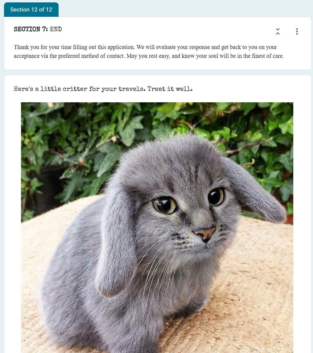 we're serious about the catbbit btw