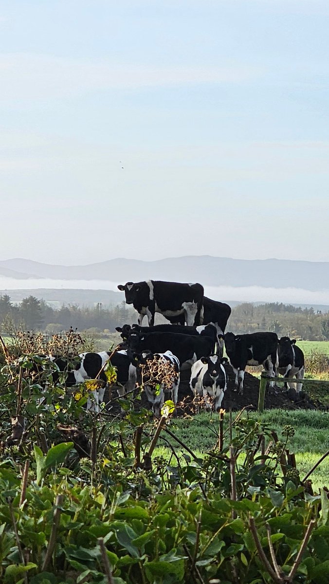 Looks like somebody got elected