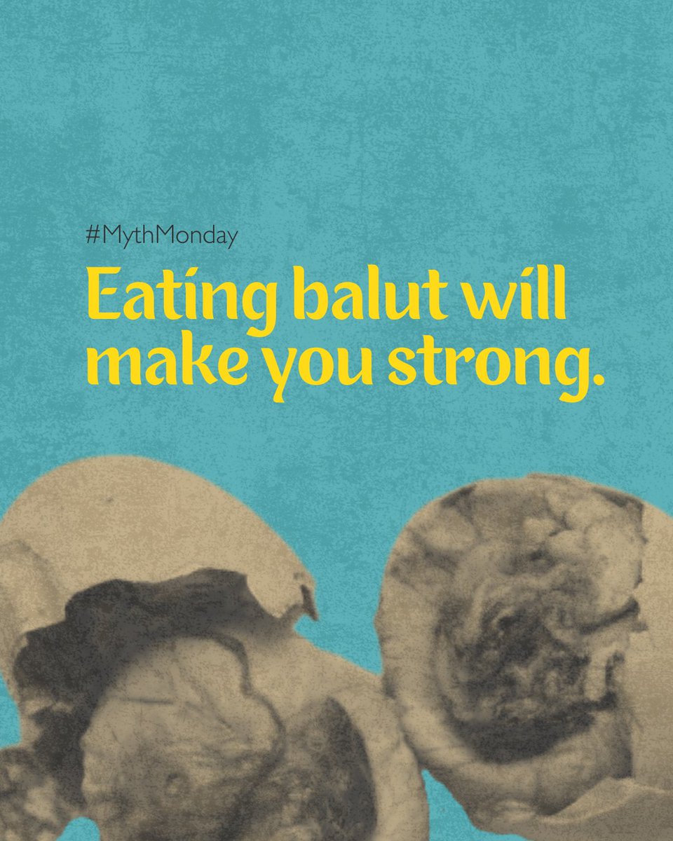 FilFoodFinder's tweet photo. 𝓕𝓲𝓵𝓲𝓹𝓲𝓷𝓸 𝓕𝓸𝓸𝓭 𝓕𝓲𝓷𝓭𝓮𝓻 | 𝓜𝔂𝓽𝓱 𝓜𝓸𝓷𝓭𝓪𝔂

Myth Monday: Think balut alone will make you strong? Not quite! While it's packed with protein, true strength comes from a balanced diet and regular exercise. 💪 

Like|Share|Follow!

📸: @mashed
#BalutMythBusted https://t.co/znM3bt9A2O