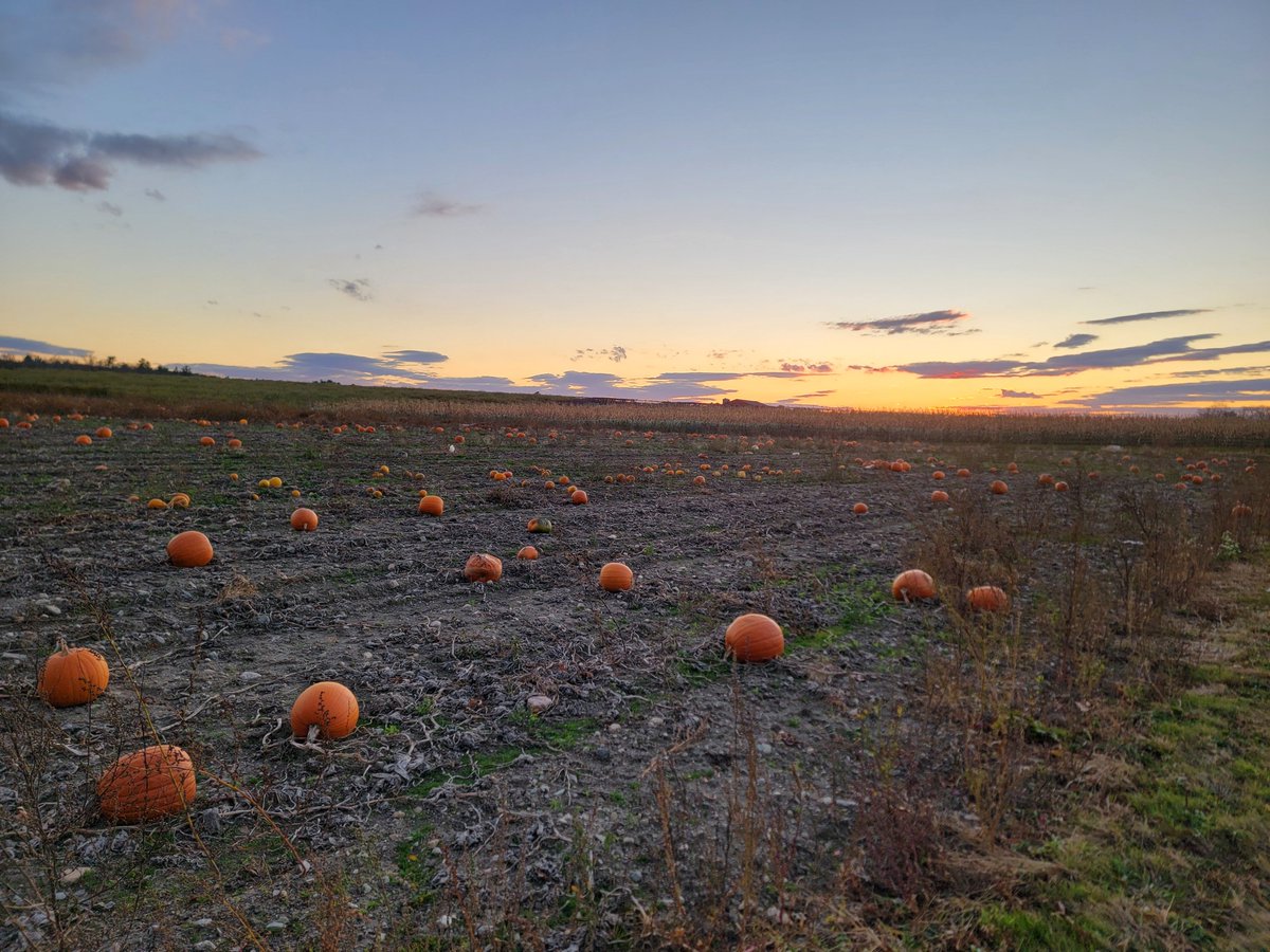 Dave Epstein tweet media
