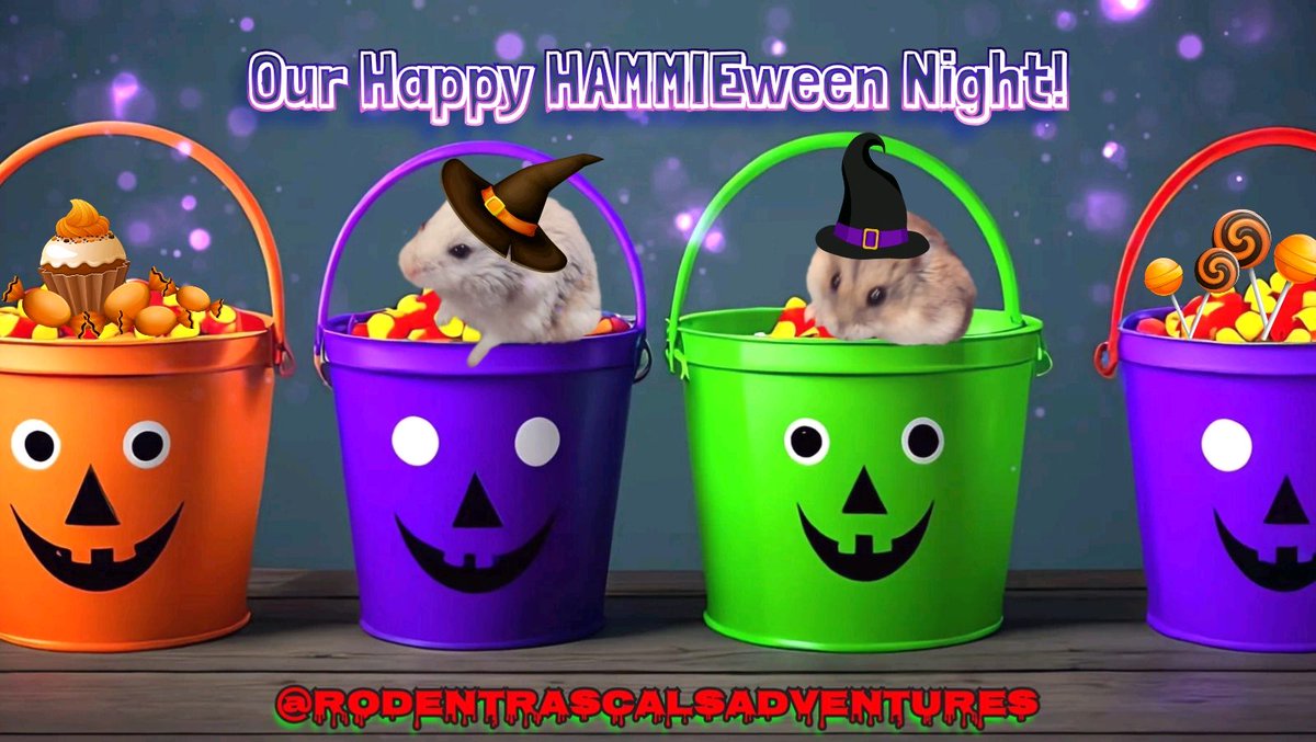 RodentRascals's tweet image. 🎃🍬 #TrickOrTreat 🖤🧡 Our little Warlocks here are waiting for YOU to join them for their HAPPY HAMMIEWEEN NIGHT🌙 on our YouTube Channel!! They have many yum yums to share so DON&apos;T MISS OUT!! #hamsters #dwarfhamsters #picoftheday #pets
❤️🐹🐽🐀💻⬇️
🎃▶️ RodentRascalsAdventures