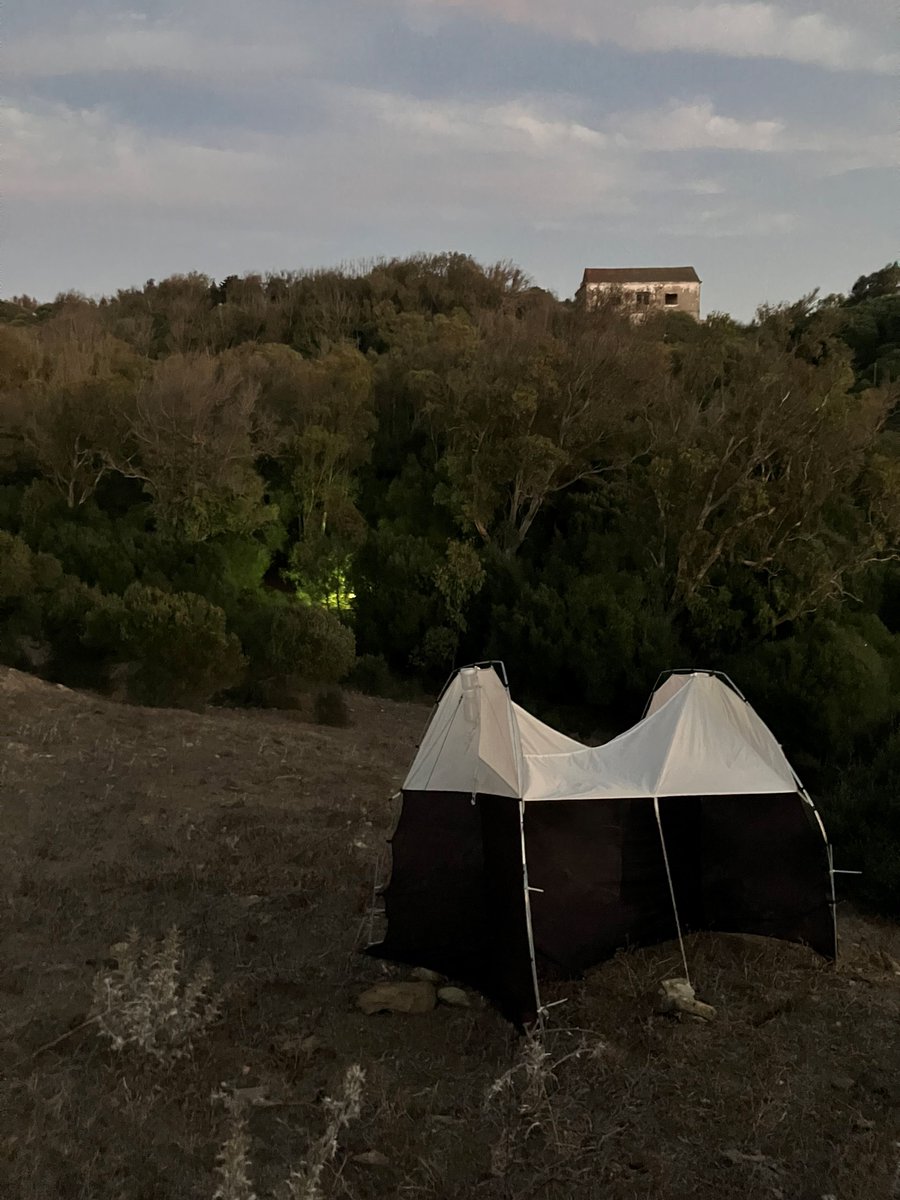 dave grundy🇪🇺😷 (@dgcountryside) on Twitter photo Moth-trapping at CIMA, Tarifa, Andalucia, Spain, 8th October 2024. Stunning moth highlights included; Chevron Snout & Leucinodes laisalis.
<a href="/JulieWilliamsBC/">Julie Williams</a> <a href="/WillLeoHawkes/">Dr Will Leo Hawkes</a> <a href="/JLowenWildlife/">James Lowen</a>
<a href="/FundacionMigres/">Fundación Migres</a> #spanishmoths #teammoth facebook.com/permalink.php?… Moth-trapping at CIMA, Tarifa, Andalucia, Spain, 8th October 2024. Stunning moth highlights included; Chevron Snout & Leucinodes laisalis.
<a href="/JulieWilliamsBC/">Julie Williams</a> <a href="/WillLeoHawkes/">Dr Will Leo Hawkes</a> <a href="/JLowenWildlife/">James Lowen</a>
<a href="/FundacionMigres/">Fundación Migres</a> #spanishmoths #teammoth facebook.com/permalink.php?…